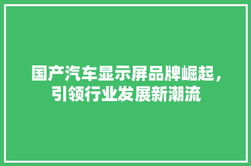 国产汽车显示屏品牌崛起，引领行业发展新潮流 混合动力车