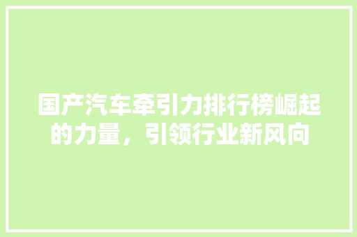 国产汽车牵引力排行榜崛起的力量，引领行业新风向 车载导航