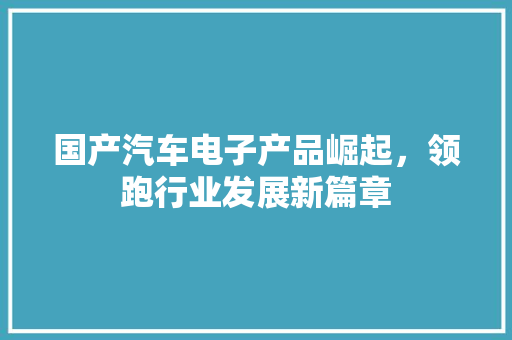 国产汽车电子产品崛起，领跑行业发展新篇章