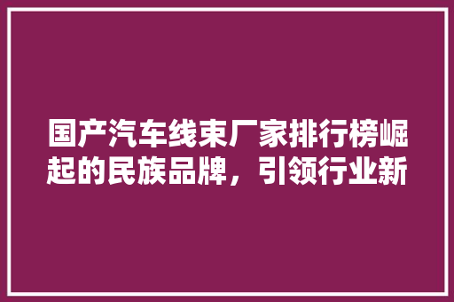 国产汽车线束厂家排行榜崛起的民族品牌，引领行业新潮流