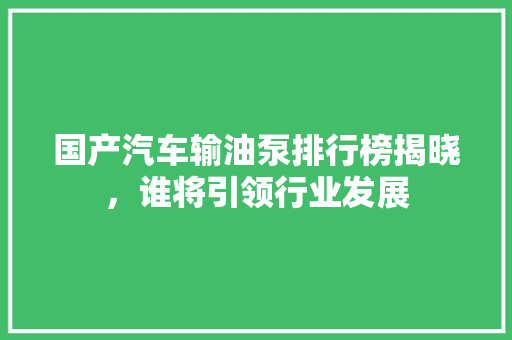 国产汽车输油泵排行榜揭晓，谁将引领行业发展