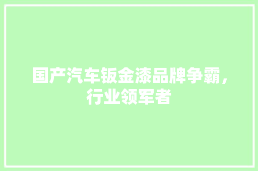 国产汽车钣金漆品牌争霸，行业领军者