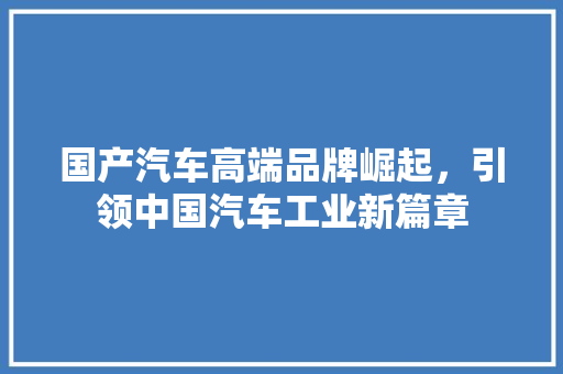 国产汽车高端品牌崛起，引领中国汽车工业新篇章