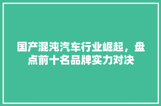 国产混沌汽车行业崛起，盘点前十名品牌实力对决