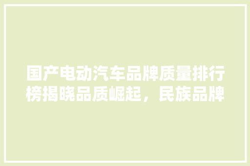 国产电动汽车品牌质量排行榜揭晓品质崛起，民族品牌闪耀未来