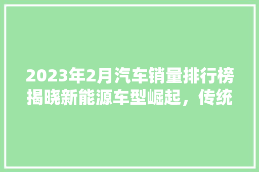 2023年2月汽车销量排行榜揭晓新能源车型崛起，传统巨头面临挑战