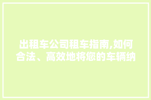出租车公司租车指南,如何合法、高效地将您的车辆纳入运营 自动驾驶