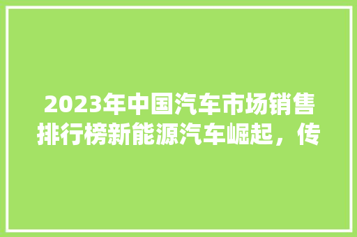2023年中国汽车市场销售排行榜新能源汽车崛起，传统车企转型加速