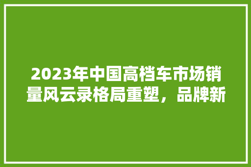 2023年中国高档车市场销量风云录格局重塑，品牌新秀崛起