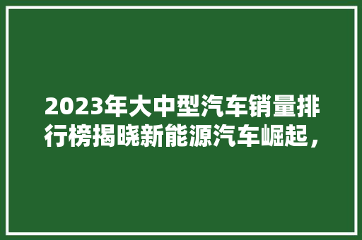 2023年大中型汽车销量排行榜揭晓新能源汽车崛起，合资品牌稳居高位