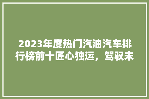 2023年度热门汽油汽车排行榜前十匠心独运，驾驭未来