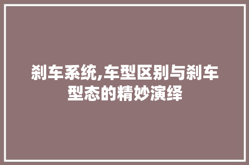 刹车系统,车型区别与刹车型态的精妙演绎