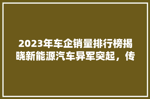 2023年车企销量排行榜揭晓新能源汽车异军突起，传统巨头再迎挑战