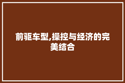 前驱车型,操控与经济的完美结合 新能源汽车