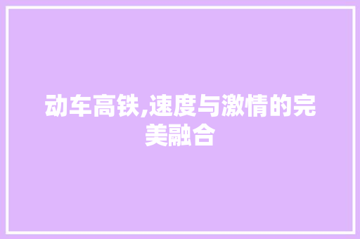 动车高铁,速度与激情的完美融合