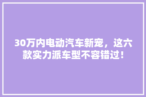 30万内电动汽车新宠，这六款实力派车型不容错过！