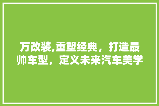 万改装,重塑经典，打造最帅车型，定义未来汽车美学