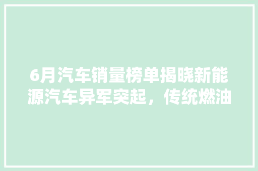 6月汽车销量榜单揭晓新能源汽车异军突起，传统燃油车市场格局生变