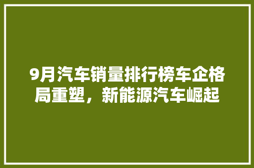 9月汽车销量排行榜车企格局重塑，新能源汽车崛起
