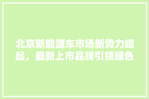 北京新能源车市场新势力崛起，最新上市品牌引领绿色出行新潮流 混合动力车