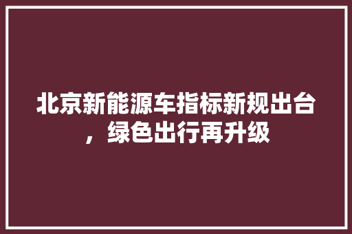 北京新能源车指标新规出台，绿色出行再升级 汽车展览