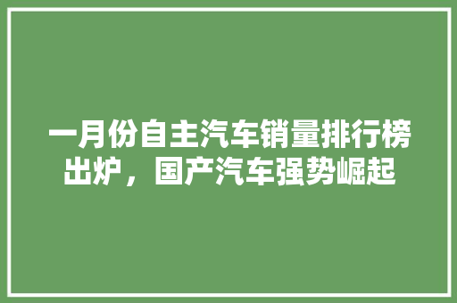 一月份自主汽车销量排行榜出炉，国产汽车强势崛起