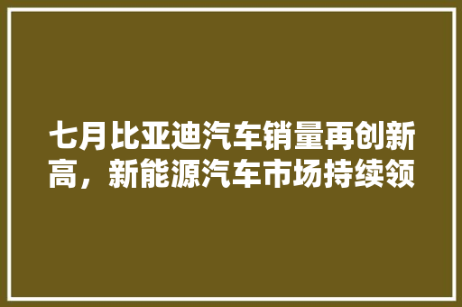 七月比亚迪汽车销量再创新高，新能源汽车市场持续领跑
