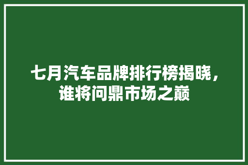 七月汽车品牌排行榜揭晓，谁将问鼎市场之巅