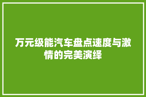 万元级能汽车盘点速度与激情的完美演绎