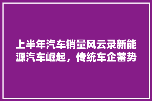 上半年汽车销量风云录新能源汽车崛起，传统车企蓄势待发