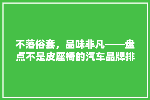 不落俗套，品味非凡——盘点不是皮座椅的汽车品牌排行榜