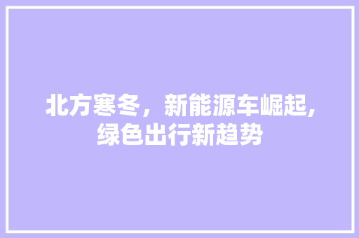 北方寒冬，新能源车崛起,绿色出行新趋势 混合动力车
