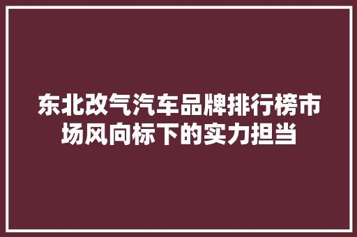 东北改气汽车品牌排行榜市场风向标下的实力担当