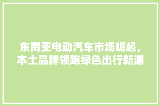 东南亚电动汽车市场崛起，本土品牌领跑绿色出行新潮流