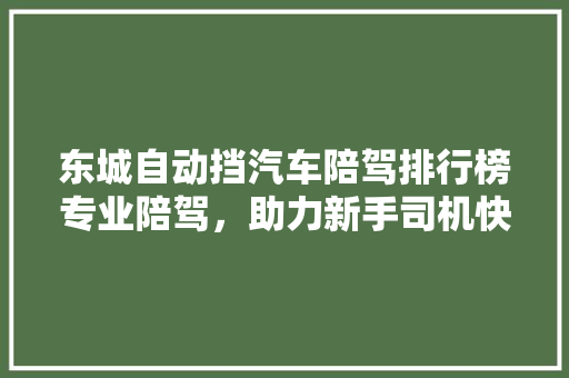 东城自动挡汽车陪驾排行榜专业陪驾，助力新手司机快速上路