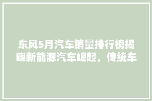 东风5月汽车销量排行榜揭晓新能源汽车崛起，传统车企蓄势待发