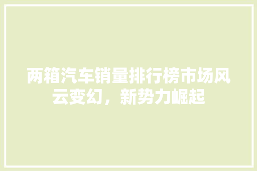 两箱汽车销量排行榜市场风云变幻，新势力崛起