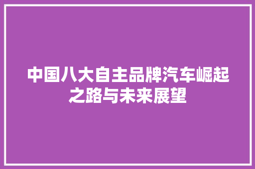 中国八大自主品牌汽车崛起之路与未来展望