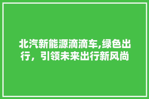 北汽新能源滴滴车,绿色出行，引领未来出行新风尚