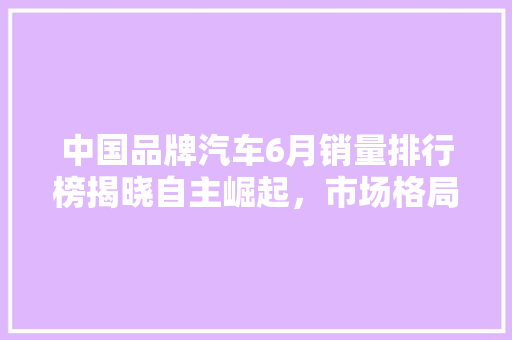 中国品牌汽车6月销量排行榜揭晓自主崛起，市场格局再洗牌