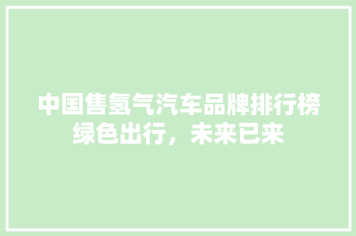 中国售氢气汽车品牌排行榜绿色出行，未来已来