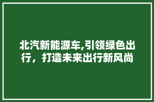 北汽新能源车,引领绿色出行，打造未来出行新风尚 汽车展览