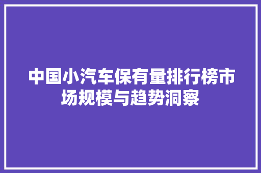 中国小汽车保有量排行榜市场规模与趋势洞察