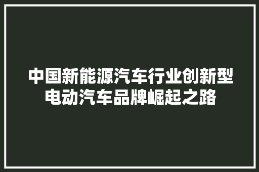 中国新能源汽车行业创新型电动汽车品牌崛起之路