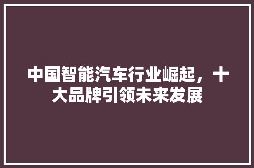 中国智能汽车行业崛起，十大品牌引领未来发展