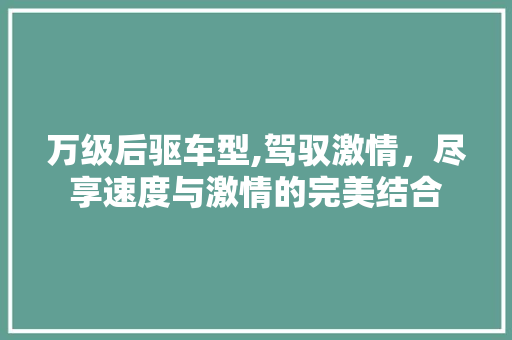 万级后驱车型,驾驭激情，尽享速度与激情的完美结合