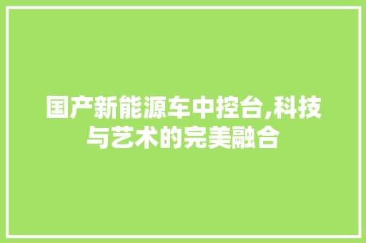 国产新能源车中控台,科技与艺术的完美融合