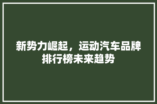 新势力崛起，运动汽车品牌排行榜未来趋势