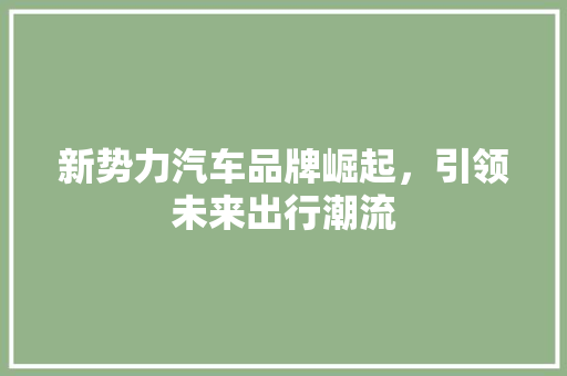 新势力汽车品牌崛起，引领未来出行潮流 车载导航