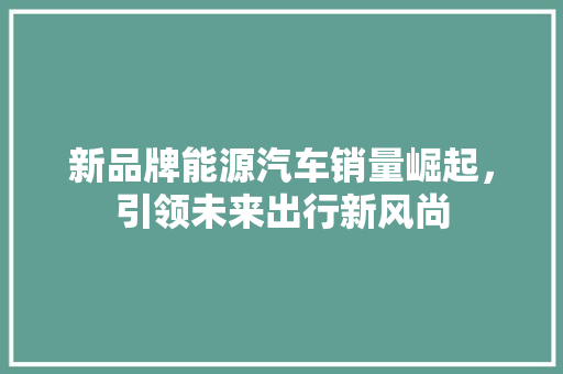 新品牌能源汽车销量崛起，引领未来出行新风尚